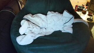 softafterdarkxo Best Porn Video [Chaturbate] - hush, asia, latinas, singlemom