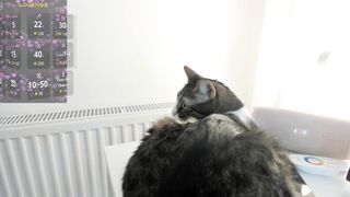 Watch sugar_rainbow Top Porn Video [Chaturbate] - blonde, bigboobs, twerk, foot