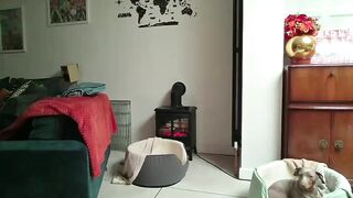 jaycat73 Cam Porn Video [Chaturbate] - nylons, cumshowgoal, gaming, smallboobs, teasing