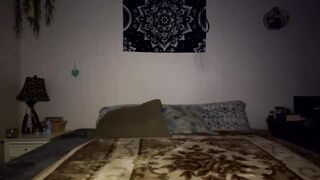 camoprincess1999 Leaked Porn Video [Chaturbate] - porn, jeans, cuteface, smallass, fat