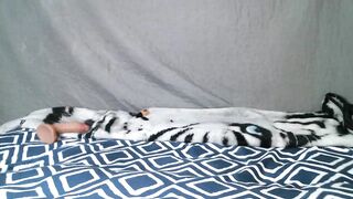 Watch kitty2488 New Porn Video [Chaturbate] - tease, spoilme, shy, skinny, asmr