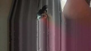 Watch watch896468 Best Porn Video [Chaturbate] - jeans, biglips, striptease, twogirls, korean