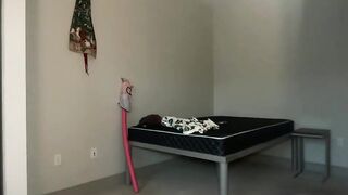 chloebabie Hot Porn Video [Chaturbate] - new, young, blonde, teen
