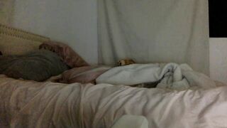 Watch dianaxoagua HD Porn Video [Chaturbate] - colombian, curlyhair, young, latina, sexy