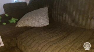 stellstar Top Porn Video [Chaturbate] - couple, cuck, interracial, bigtits, bwc