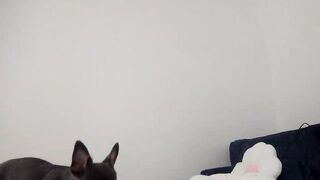 JessicaB Hot Porn Video [Myfreecams] - nice, sweety, beautiful, funny, erotic