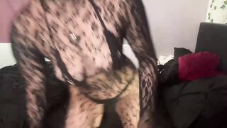 katya918 Cam Porn Video [Chaturbate] - ass, new, teen, flexibility