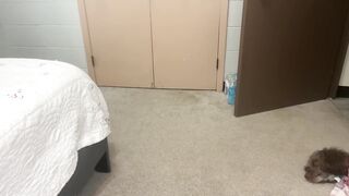 Watch maddybbyyy Cam Porn Video [Chaturbate] - new, natural, 18, teen