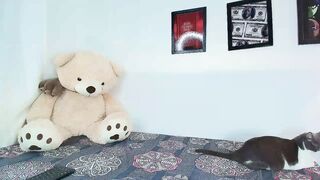 Watch saratatoo_ HD Porn Video [Myfreecams] - latina, masturbation, dancer, lovense, cum
