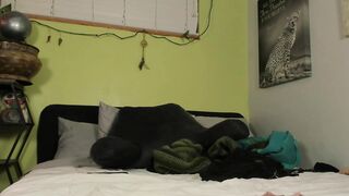 Watch bedrestalma New Porn Video [Chaturbate] - single, feet, singlemom, prettyface, pregnant