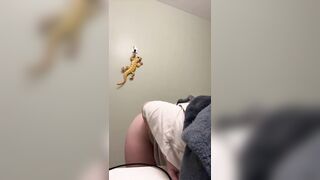 Watch savleigh Top Porn Video [Chaturbate] - fetishes, pussylovense, hairyarmpits, great
