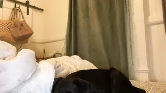 Latest Porn Videos From VamGirlsLeak, Page 853