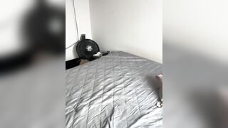 adila_anich Hot Porn Video [Stripchat] - fingering, striptease-arab, colombian-petite, anal-young, anal