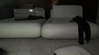 hunternpanter HD Porn Video [Chaturbate] - cowgirl, feel, moan, cutie, plug