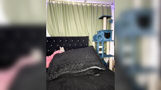 Abiiegayll Best Porn Video [Stripchat] - erotic-dance, big-ass-creampie, shower, striptease, curvy-teens