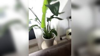 KathaleaNoir New Porn Video [Stripchat] - fingering-white, pov, erotic-dance, recordable-privates-young, german-young