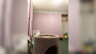 Watch as_xys Best Porn Video [Stripchat] - squirt, middle-priced-privates-white, lesbians, mobile-teens, dildo-or-vibrator