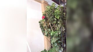 Watch Alinna_Scottt Top Porn Video [Stripchat] - colombian, big-ass, big-ass-doggy-style, topless-latin, new-cheap-privates