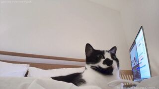 https_sophie Top Porn Video [Myfreecams] - brains, real, natural, sarcasm, love