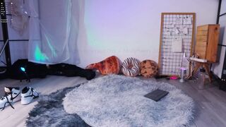 mollyflwers Cam Porn Video [Chaturbate] - tattoo, voyeur, friendly, suckcock, titjob