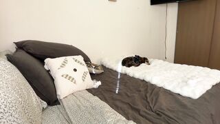 cami_calderon HD Porn Video [Chaturbate] - latina, young, 19, cute, petite