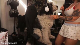 poppysux Top Porn Video [Chaturbate] - bigass, bigtits, curvy, bigboobs