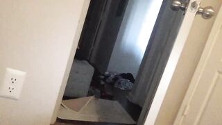 bansam1738 Best Porn Video [Chaturbate] - shorthair, tks, tomboy, armpits