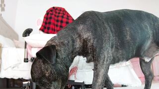 Watch rach_rach HD Porn Video [Chaturbate] - cowgirl, chastity, chat, private